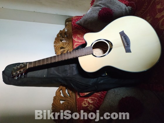 Deviser L2 770A Acoustic Full New Guitar